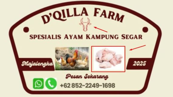 D’QILLA FARM